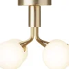 Apiales 6 Ceiling, brushed brass / opal