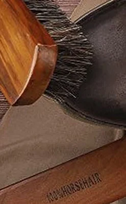 Application and Shine Brush set