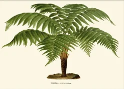 Artimuus - Artimuus 102