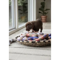 Ashi Hundelegetøj - Stor