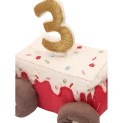 Celebration Train Rose Mix - Birthday