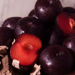 CHEIROSA 40 MIST 240ML