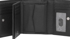 Cormorano pung regitze