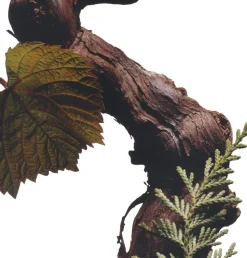 Cypres & Grapevine Cologne Intense