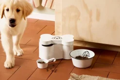 Dåse formet kødben hundemotiv og målebæger