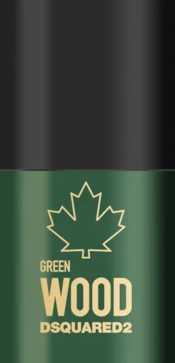 DSQUARED2 Green Wood Men Deodorant stick 75 ML