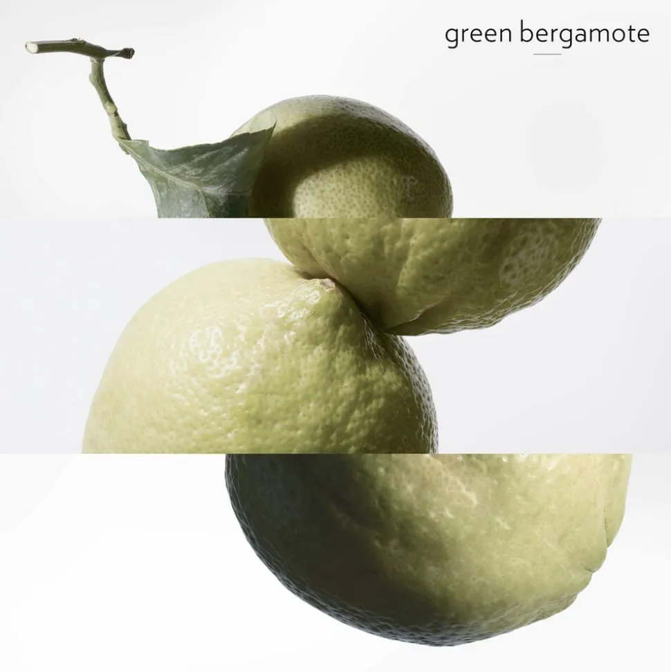 **EAU DE BASILIC POURPRE NATURAL SP