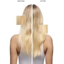 Elixir Ultime L´Huile Originale Hair Oil