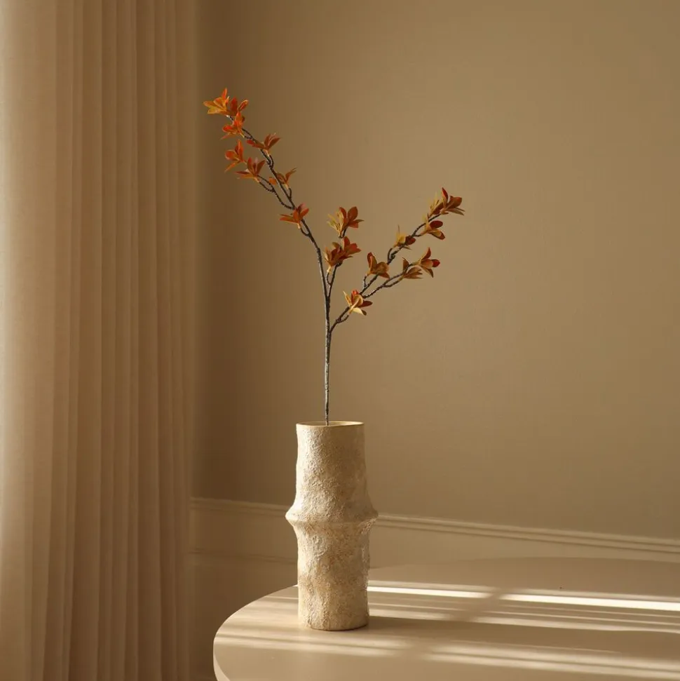 Enkianthus Perulatus Leaves