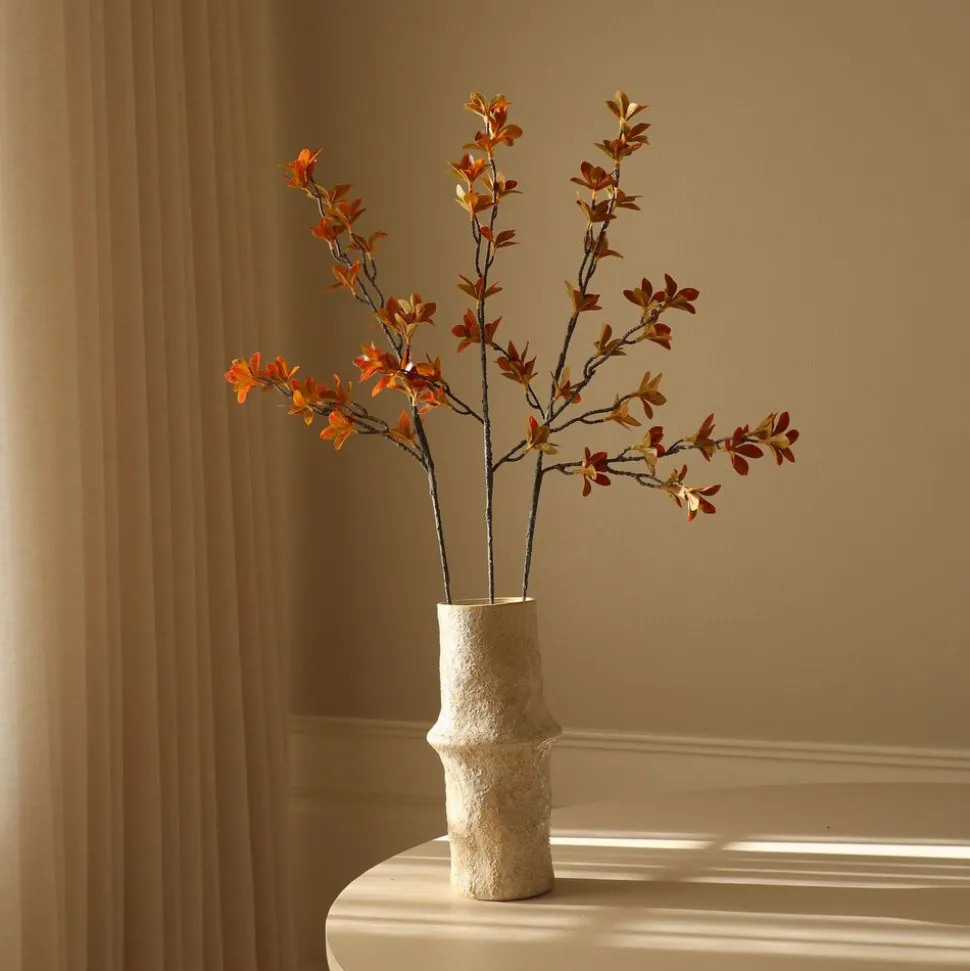 Enkianthus Perulatus Leaves