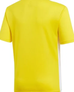 Entrada 18 Trænings T-shirt