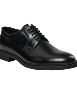 Firstclass_Derb_pl_N