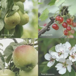 FJORD Scent Diffuser 100ml