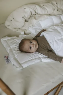 Fossflakes Baby Pude & Dyne