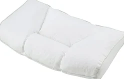 Fossflakes Chiropractic inkl. cover