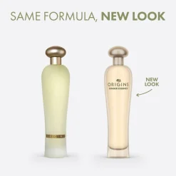 Ginger Essence Sensuous Fragrance Skin Scent