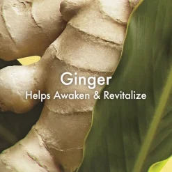 Ginger Essence Sensuous Fragrance Skin Scent