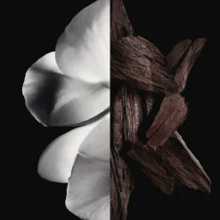 Givenchy Gentleman boisee Eau de parfum