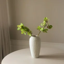 Green Cymbidium Orchid Flower