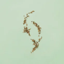 Gucci Guilty Pour Homme Eau de Toilette