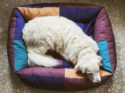 HAY Dogs Bed-Large-Burgundy, green