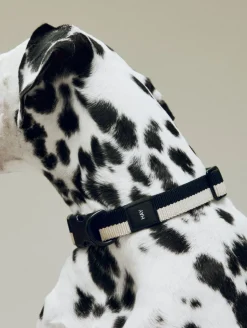 HAY Dogs Collar Flat-M/L-Black, whi