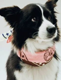 HAY Dogs Scarf Recycled-55 x 55-P