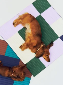 HAY Dogs Travel Blanket-80 x 80-Bur