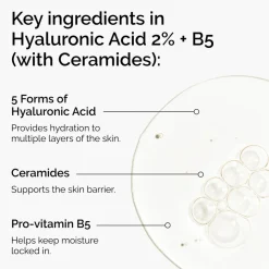 Hyaluronic Acid 2% + B5