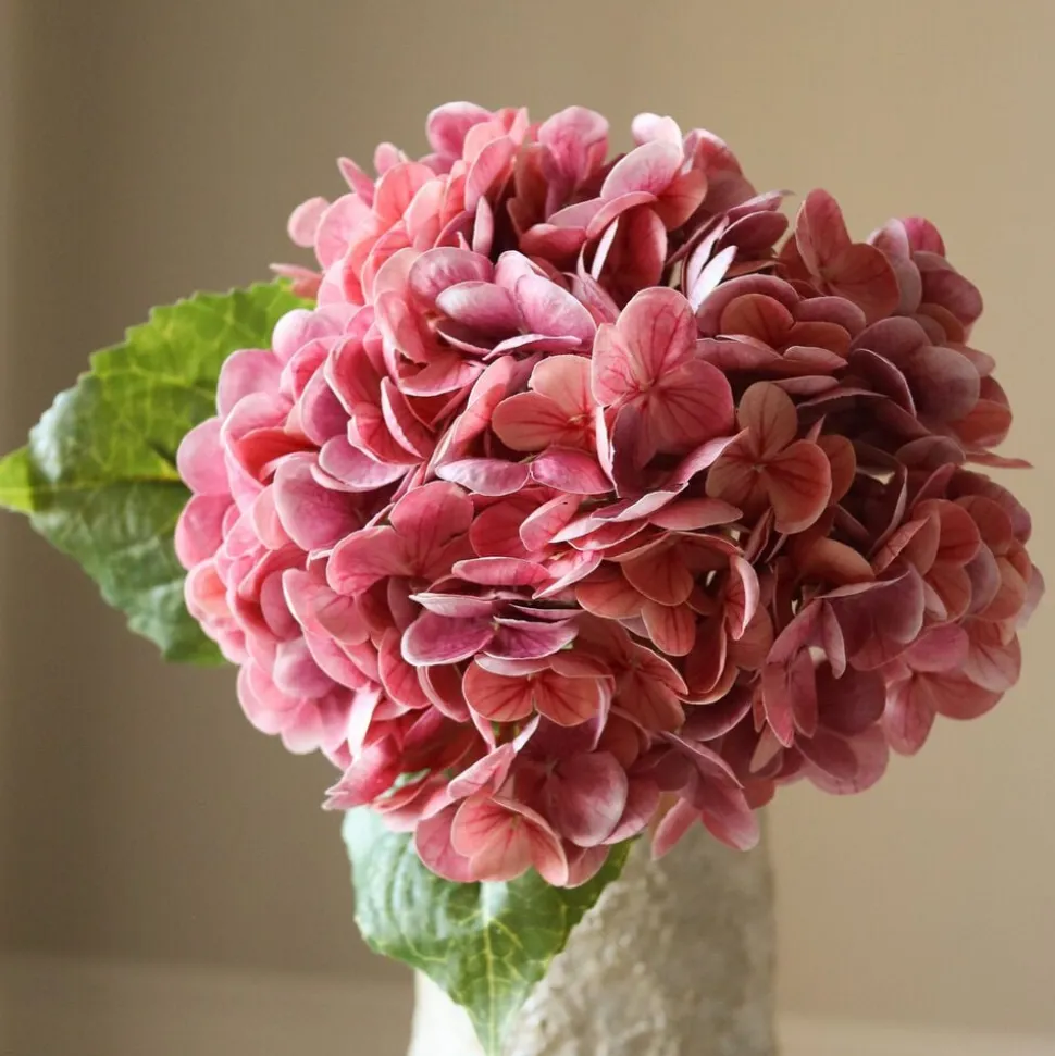 Hydrangea Flower