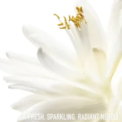 J'adore Eau de Toilette Roller-Pearl