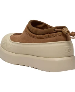 K Tasman Weather Hyb