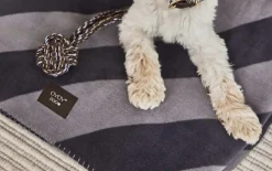 Kaya Hundetæppe - Medium