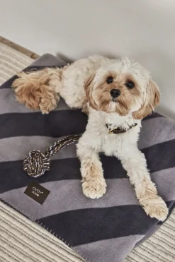 Kaya Hundetæppe - Stor