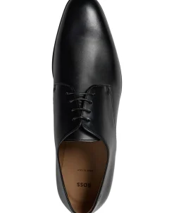 Kensington_Derb_bu_N