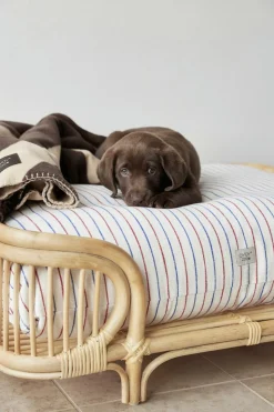 Kyoto Hundepude - Stor