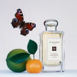 Lime Basil & Mandarin Cologne