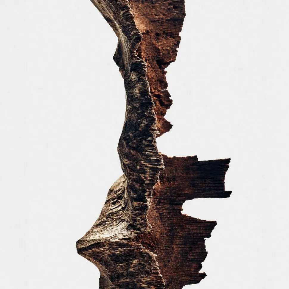 LOEWE Crafted Collection Bittersweet Oud Eau de Parfum 100 ml