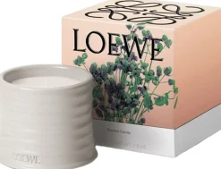 LOEWE Oregano Soap Bar