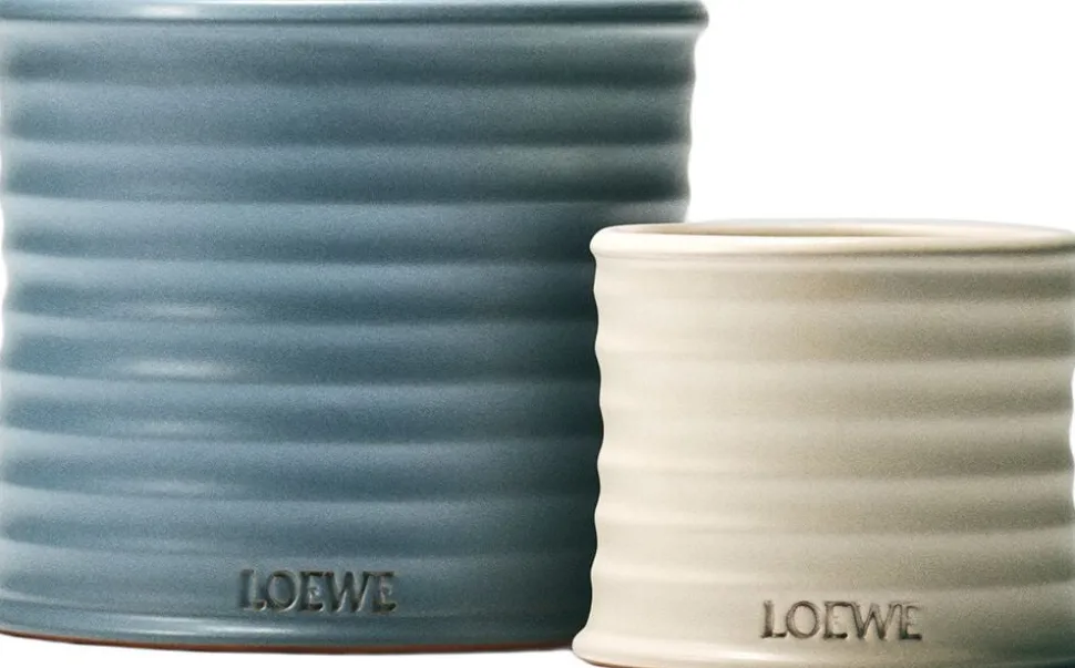 LOEWE Oregano Soap Bar