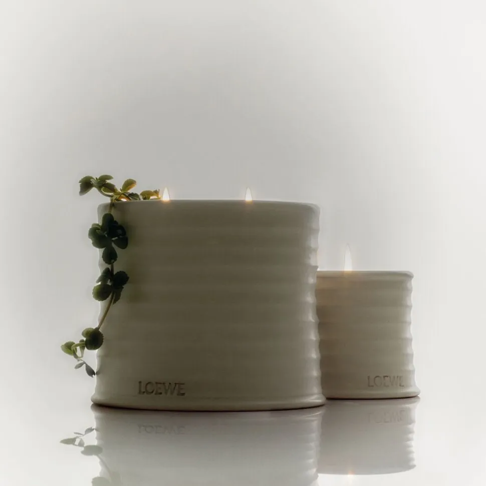 LOEWE Oregano Soap Bar