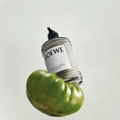 LOEWE Tomato Leaves Body Lotion