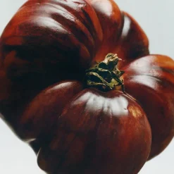 LOEWE Tomato Leaves Candle