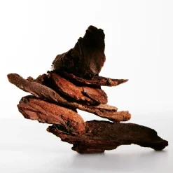 LOEWE Un Paseo por Madrid Debod Eau de Parfum 100 ml