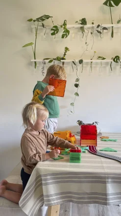 MAGNA-TILES Builder XL 50