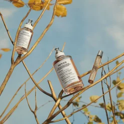 Maison Margiela Replica Autum Vibes Eau De Toilette