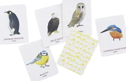 Match a pair of Birds