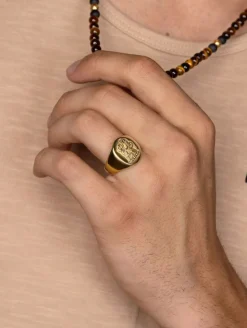 Men's Stainless Steel Lion Crest Ring with Gold Plating