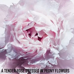 Miss Dior Hair Mist Hair Mist - Scented Spray