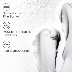 Natural Moisturizing Factors + HA